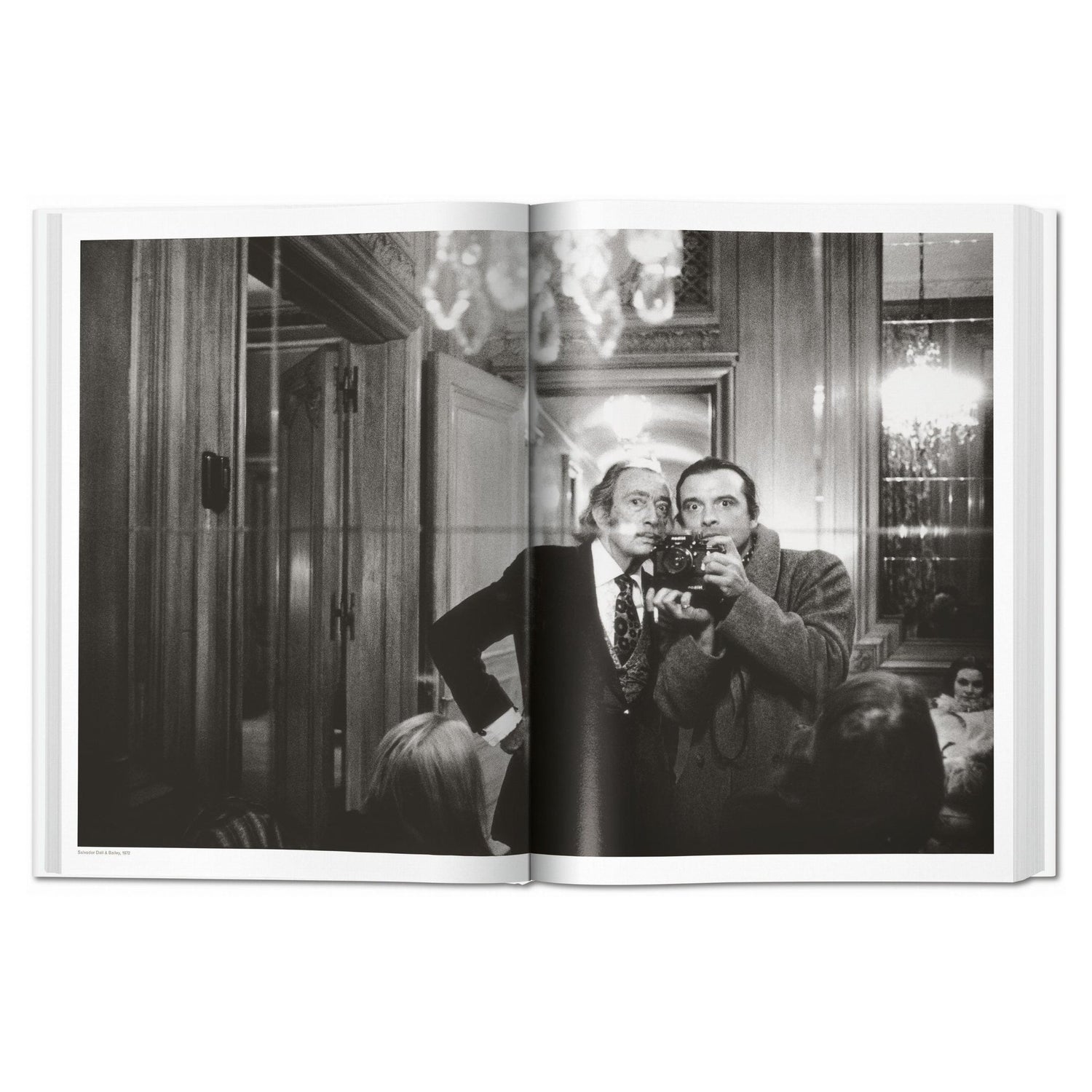 Detailansicht einer stilvollen Fotografie