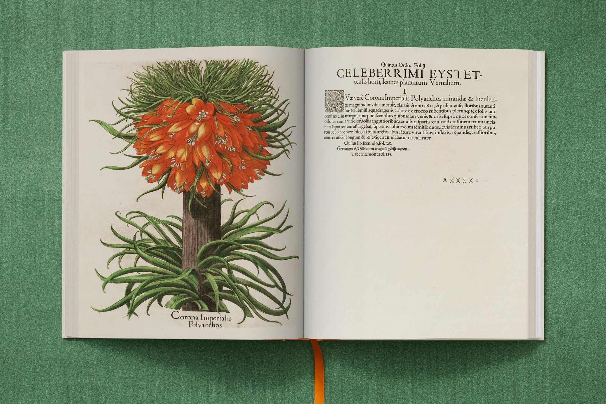 Besler. The Garden at Eichstätt hochwertige Hardcover-Ausgabe