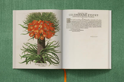 Besler. The Garden at Eichstätt hochwertige Hardcover-Ausgabe