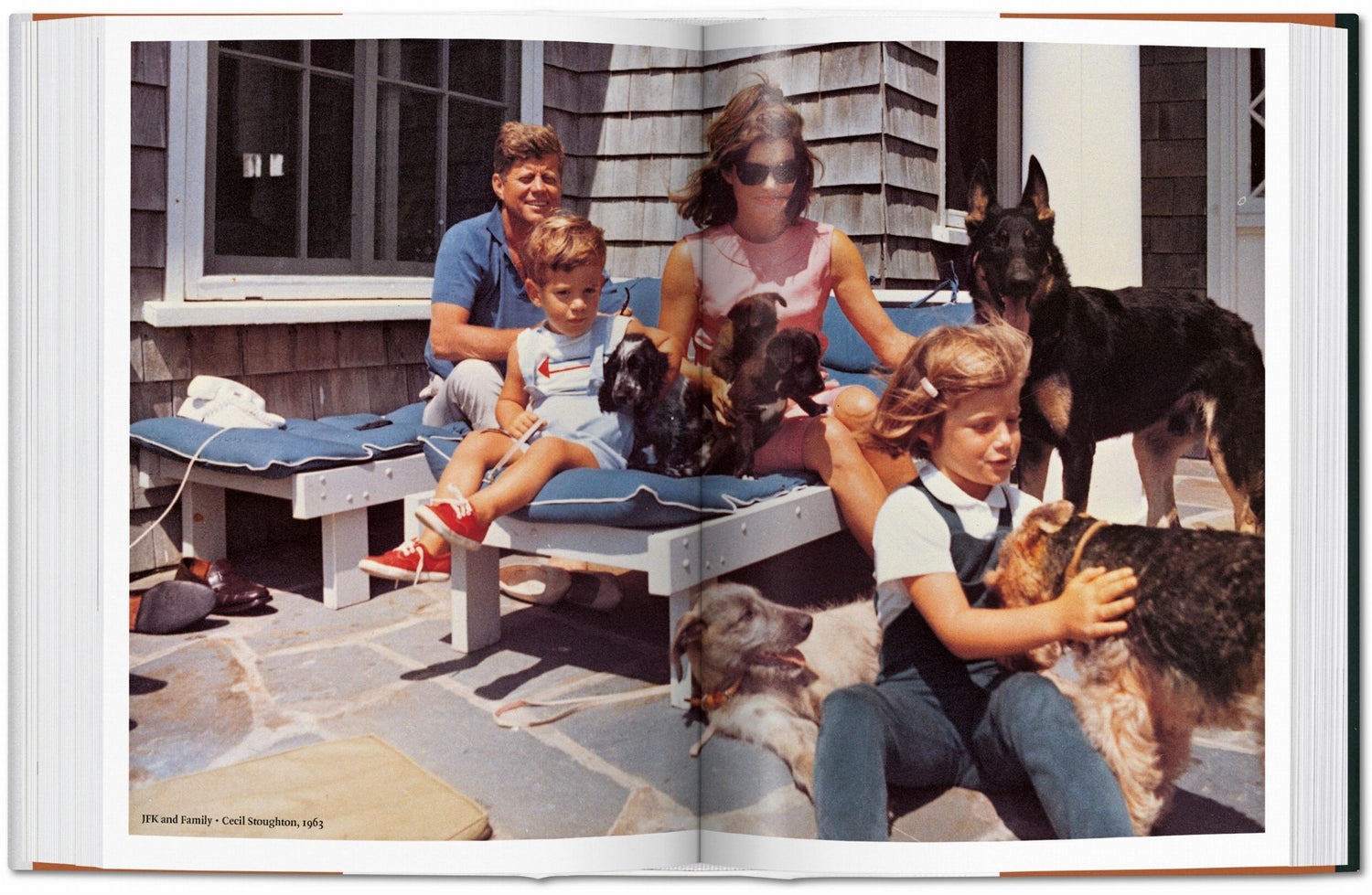 Familie mit vielen Hunden