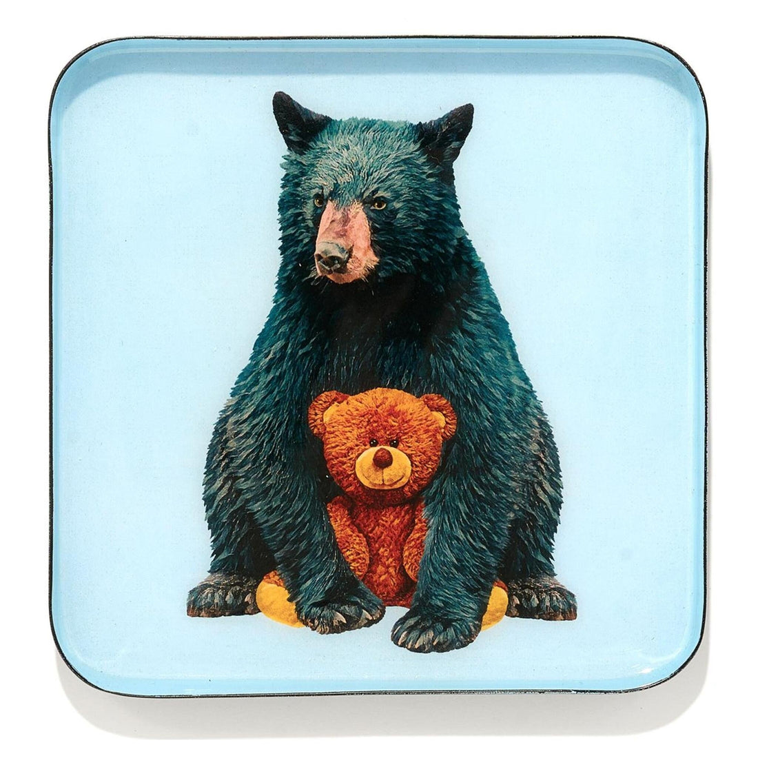 Gangzai Vide-Poche mit Bär und Teddybär auf hellblauem Hintergrund