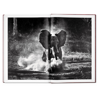 Signierter und nummerierter Print von Sebastião Salgado