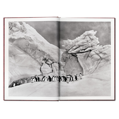 Präsentation der GENESIS Edition mit Booklet