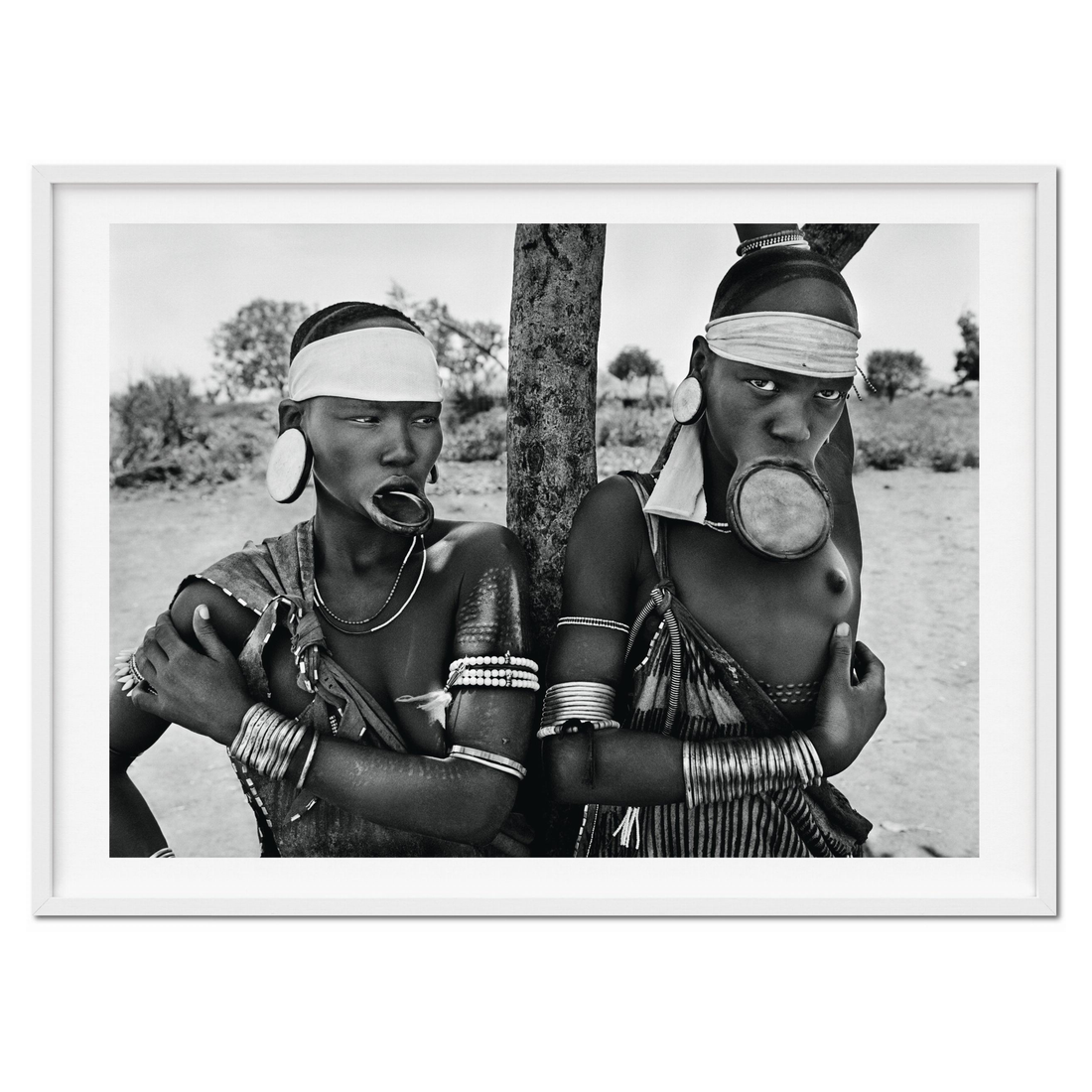 GENESIS Art Edition von Sebastião Salgado auf Buchständer