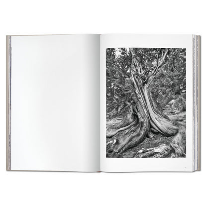 Sebastião Salgado Genesis SUMO-Edition mit zwei Leinenbänden im Buchschuber

