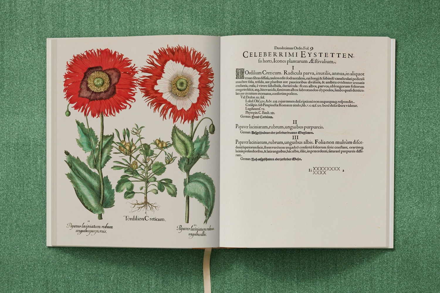 Besler. The Garden at Eichstätt – barocke Blumenpracht