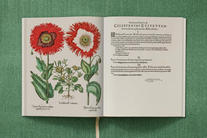 Besler. The Garden at Eichstätt – barocke Blumenpracht