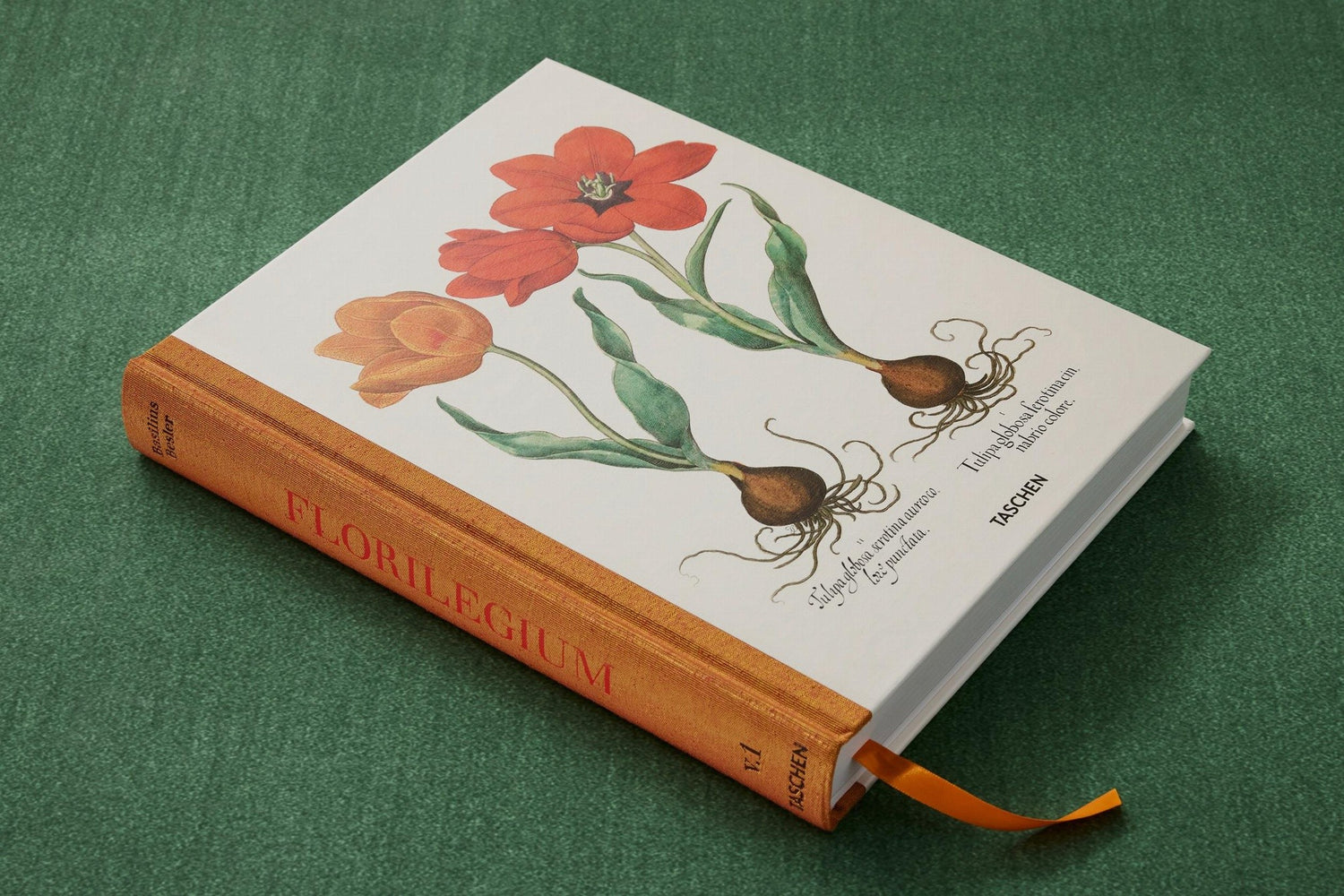 Handkolorierte Kupferstiche in Besler. The Garden at Eichstätt