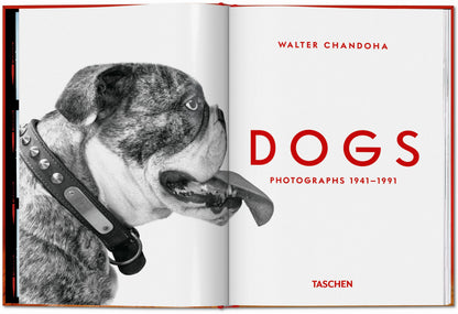 Schwarzweißaufnahme eines Hundes im Studio mit Fokus auf Ausdruck und Charakter.