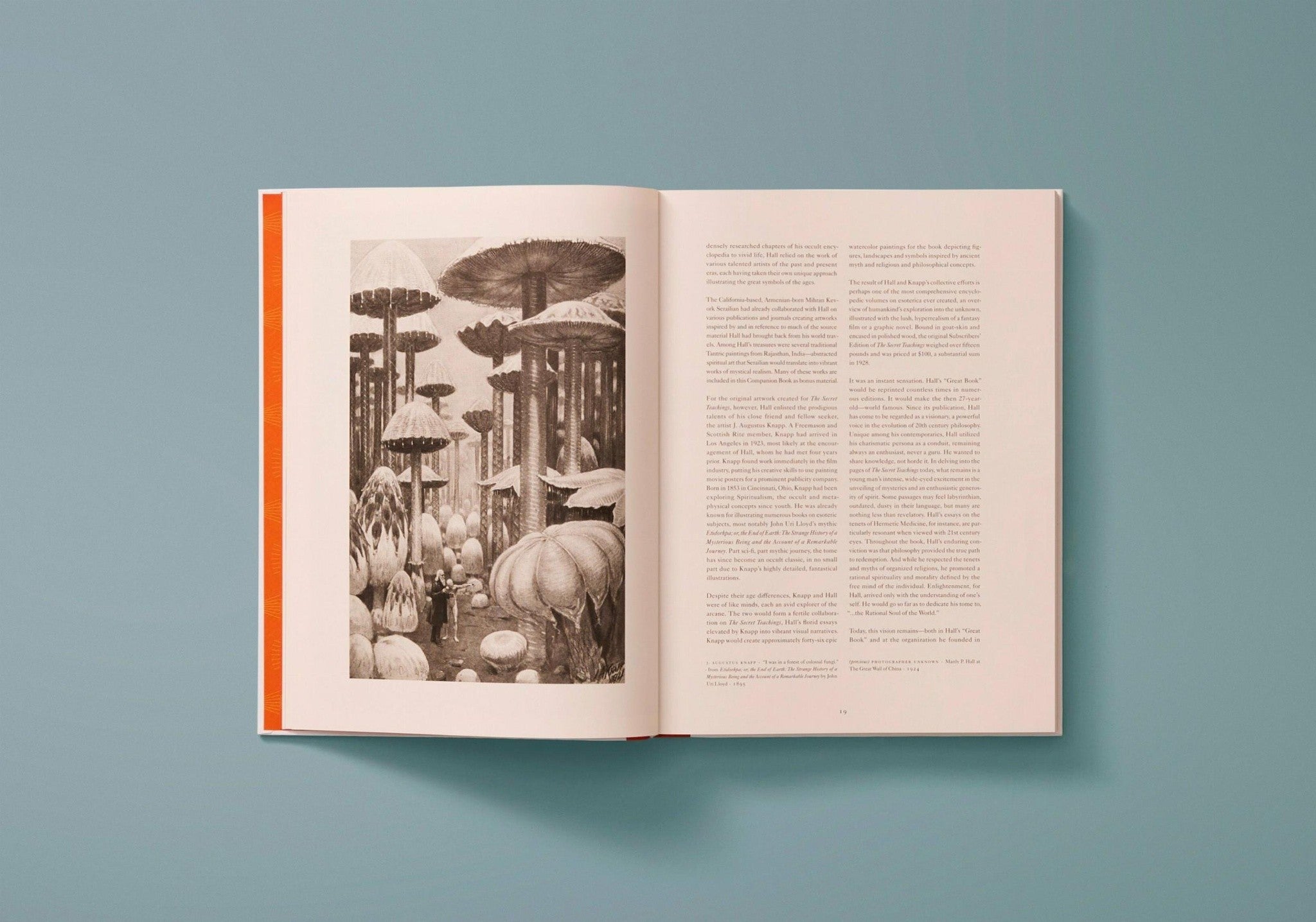 Limitierte Secret Teachings of All Ages Ausgabe für Sammler