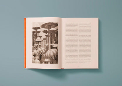 Limitierte Secret Teachings of All Ages Ausgabe für Sammler