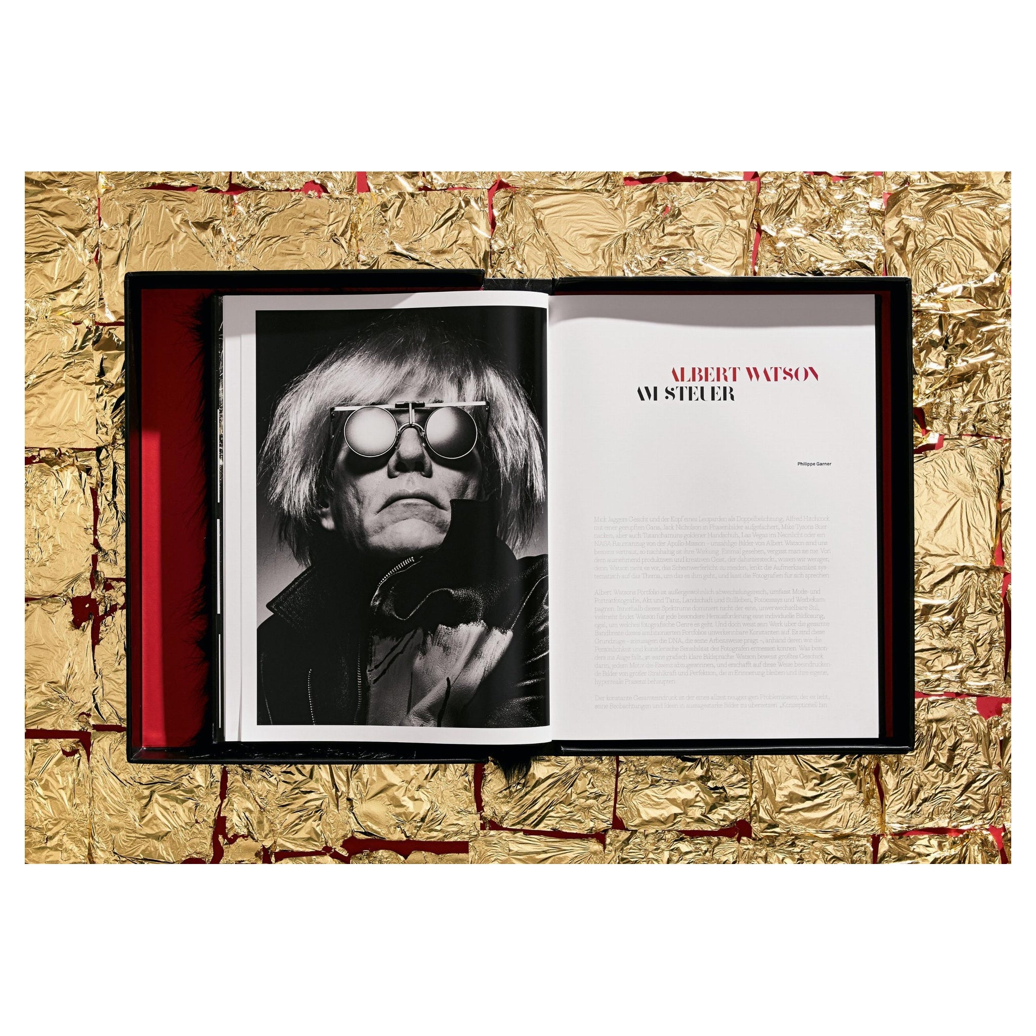 Portrait der Domina Miss Beehayving, atmosphärische Fotografie von Albert Watson