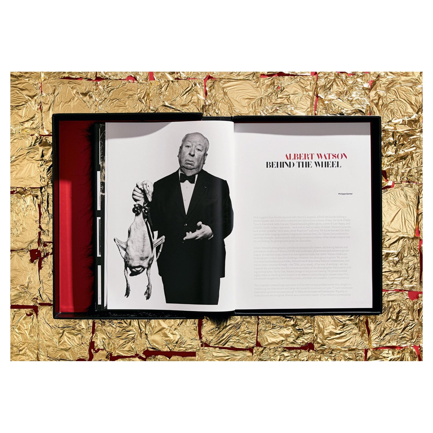 Innenansicht Albert Watsons Fotobuch – verführerische Ästhetik und Fotokunst