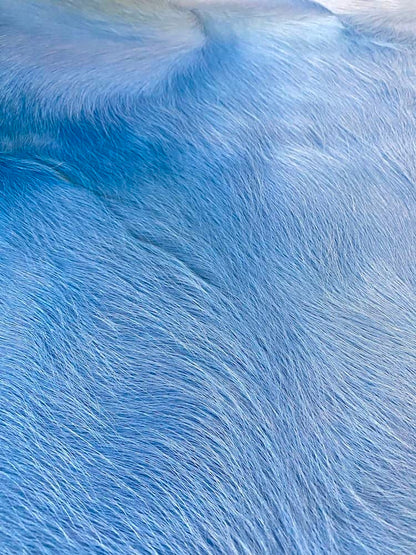 Kuhfell Teppich Himmel Blau
