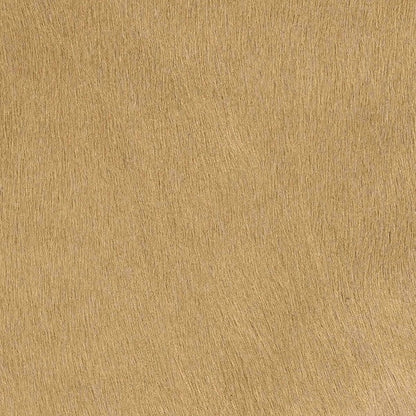 Kuhfell Teppich Champagner Beige
