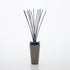 Raumduft ILUM COLOGNE RETRO 500ml von Max Benjamin