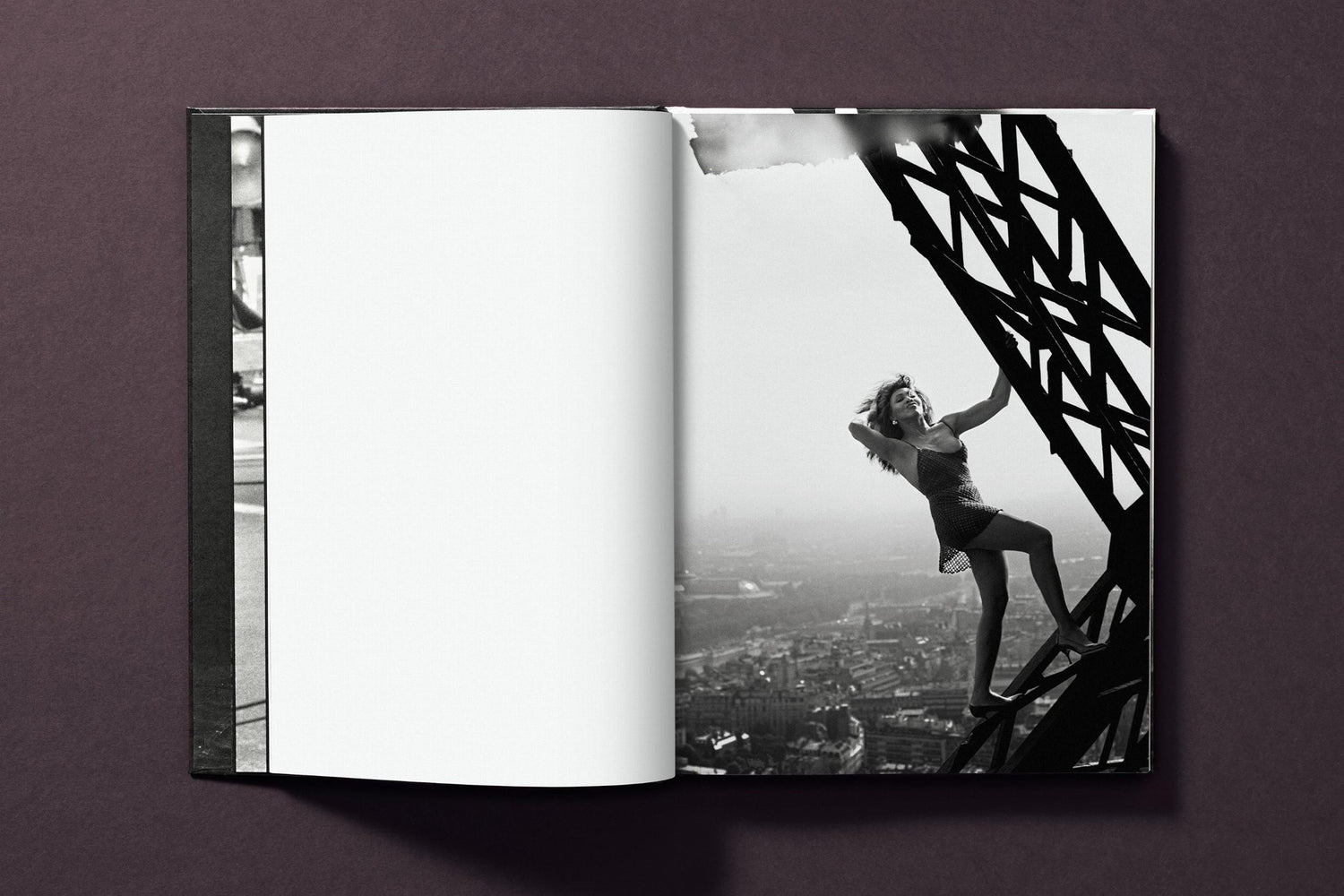 Tina Turner by Peter Lindbergh als Geschenk für Musikliebhaber