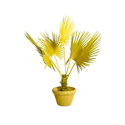 Kunstpflanze FAN PALM von POLSPOTTEN in Gelb
