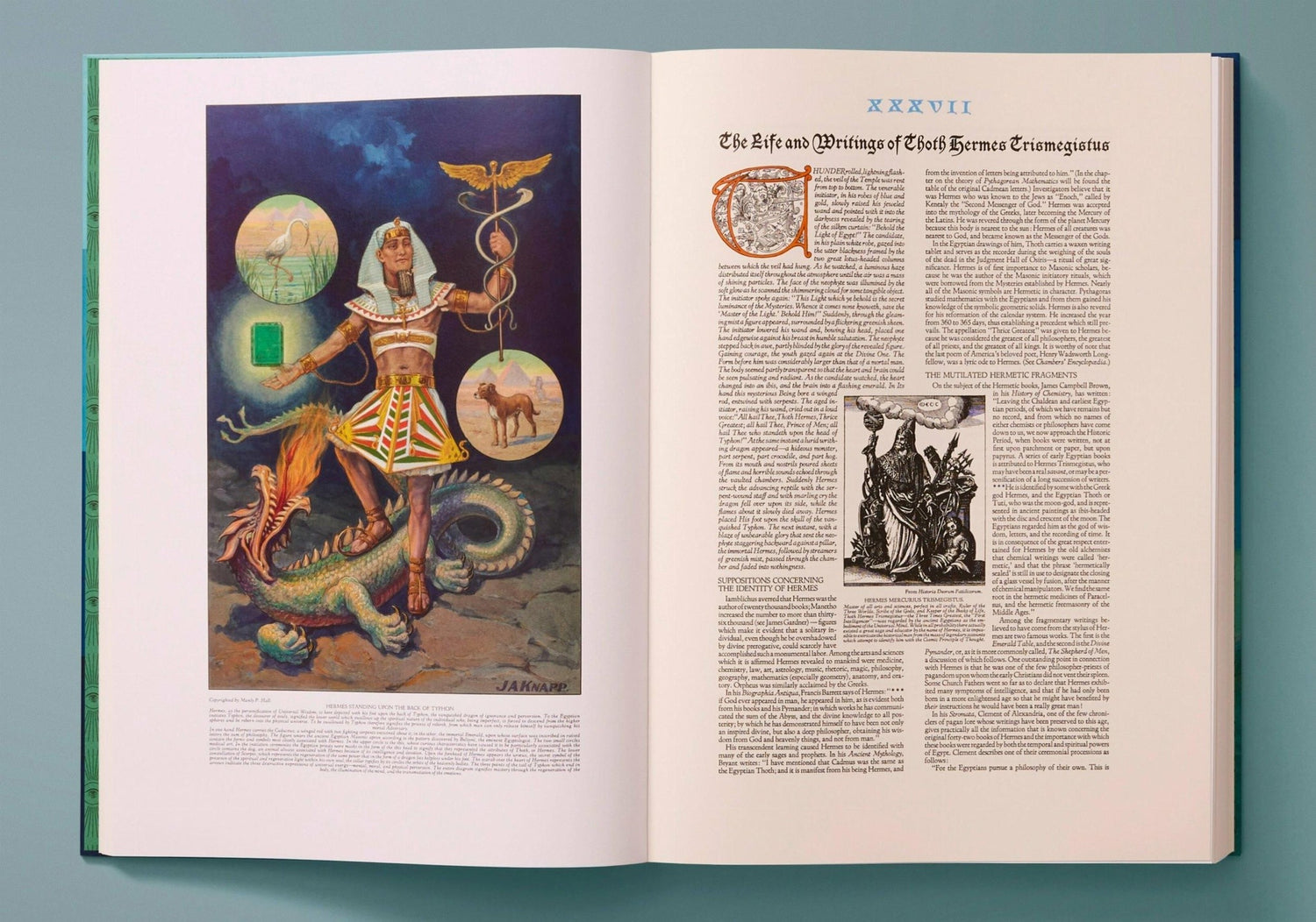 Geöffnete Seiten von Secret Teachings of All Ages mit Illustrationen