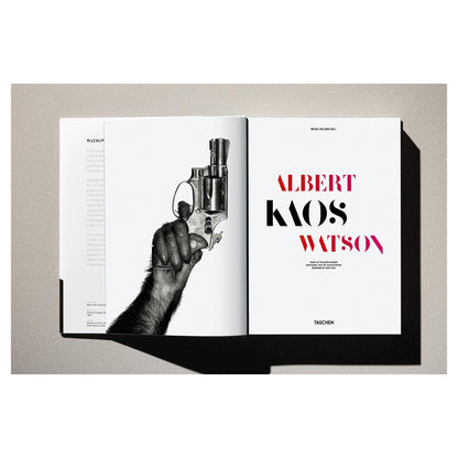 Studioaufnahme des vollständigen Buchobjekts „Kaos“.