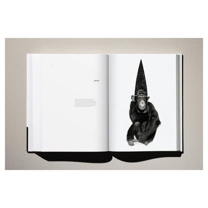 Der aufrecht stehende Band „Kaos“ im minimalistischen Set.