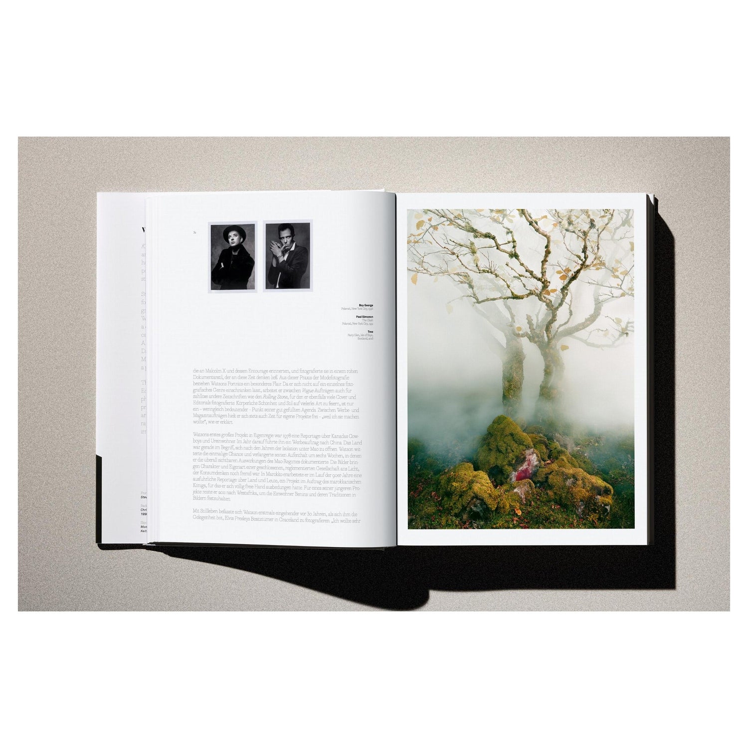 Stilvolle Studioaufnahme des Buchrückens von „Albert Watson. Kaos“.