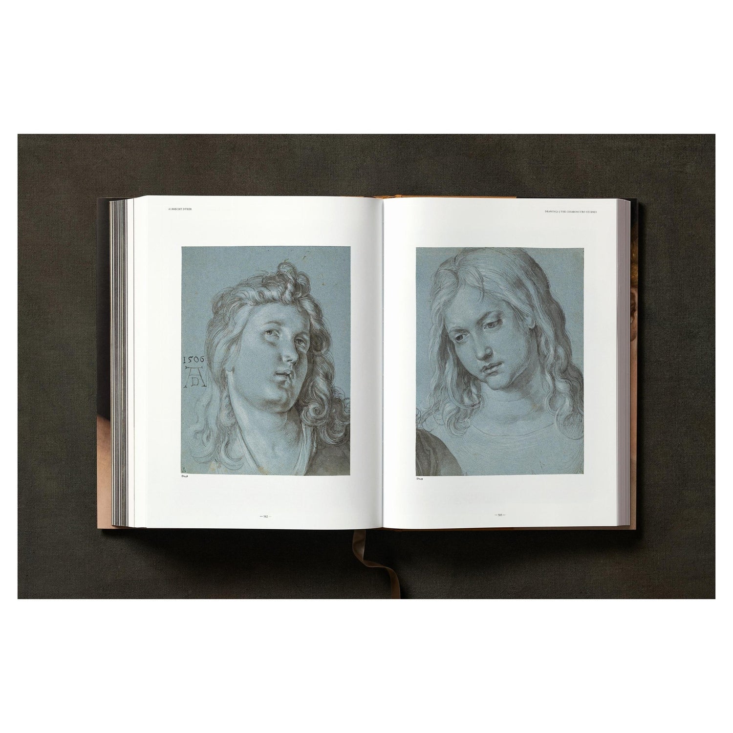 Dürer-Bildband mit detailliertem, fein gemaltem Gesicht.