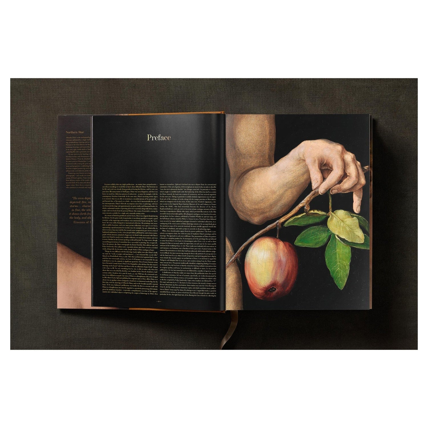 Frontaufnahme des Buches „Sämtliche Gemälde – Dürer“.