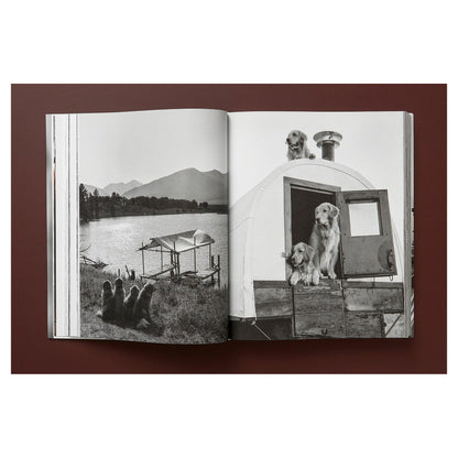Porträt eines Golden Retrievers – emotionale Fotografie von Bruce Weber