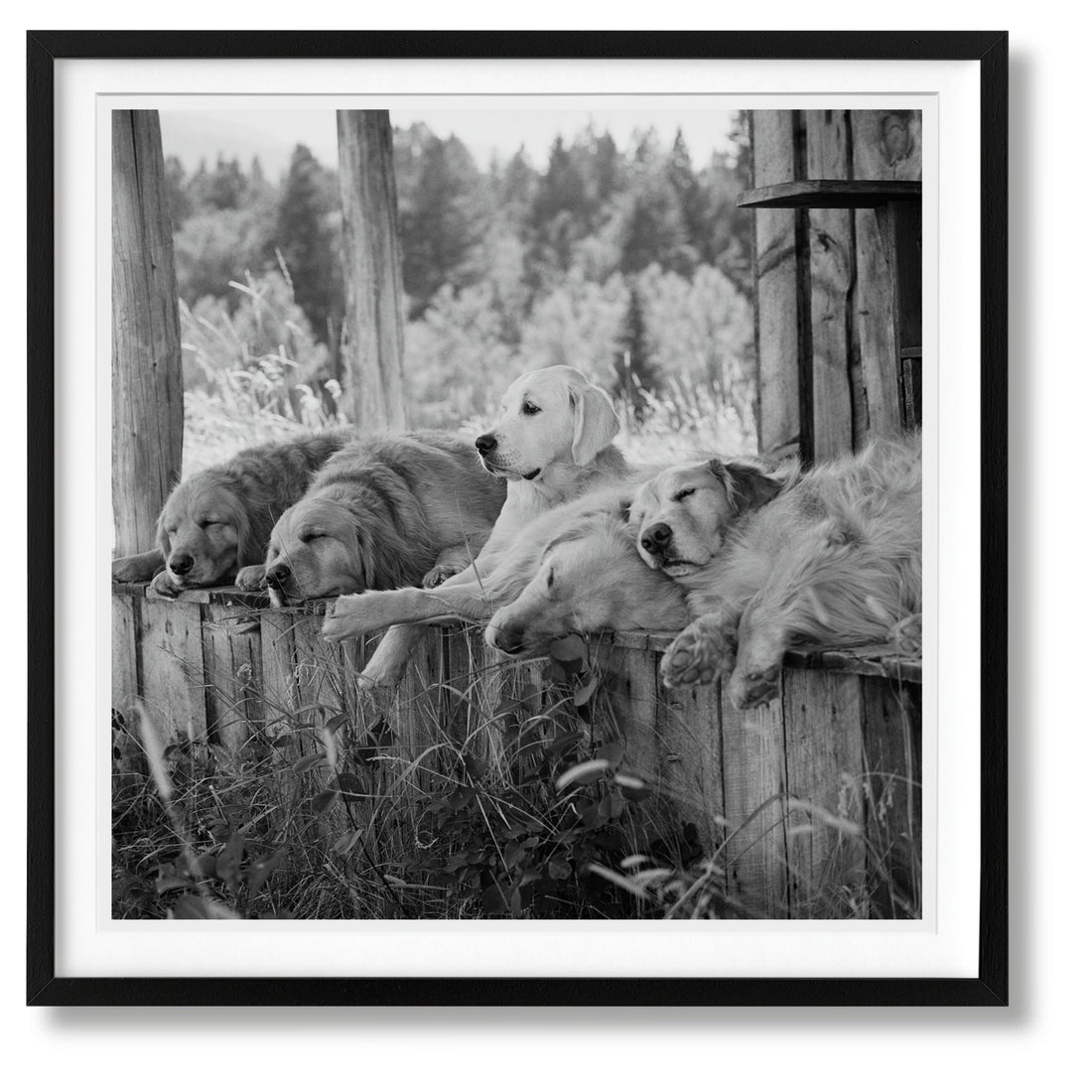 Luxuriöser Schuber des Bruce Weber Bildbands – limitierte Sammleredition