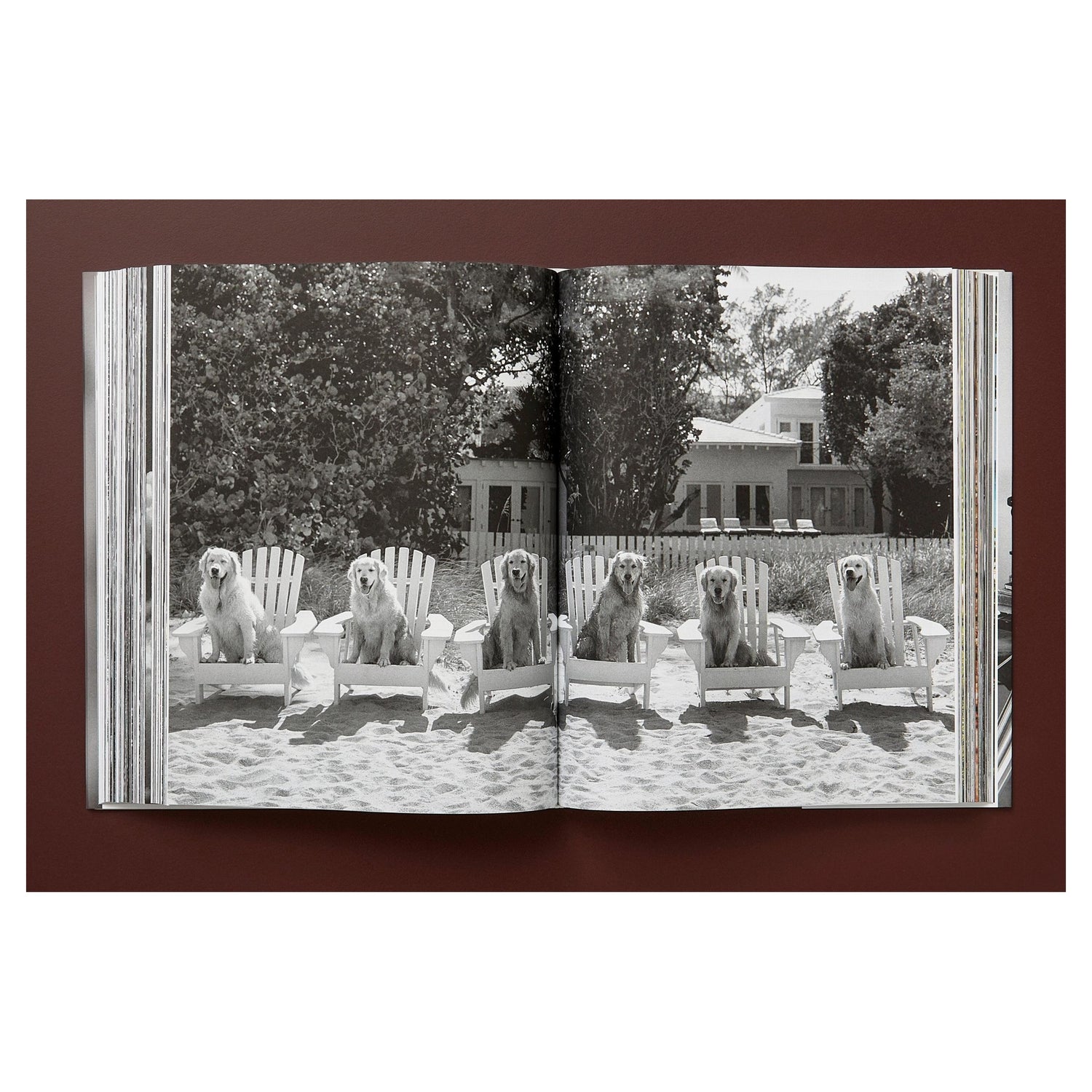 Archivpigmentprint mit Atelierstempel – Bruce Weber Limited Edition