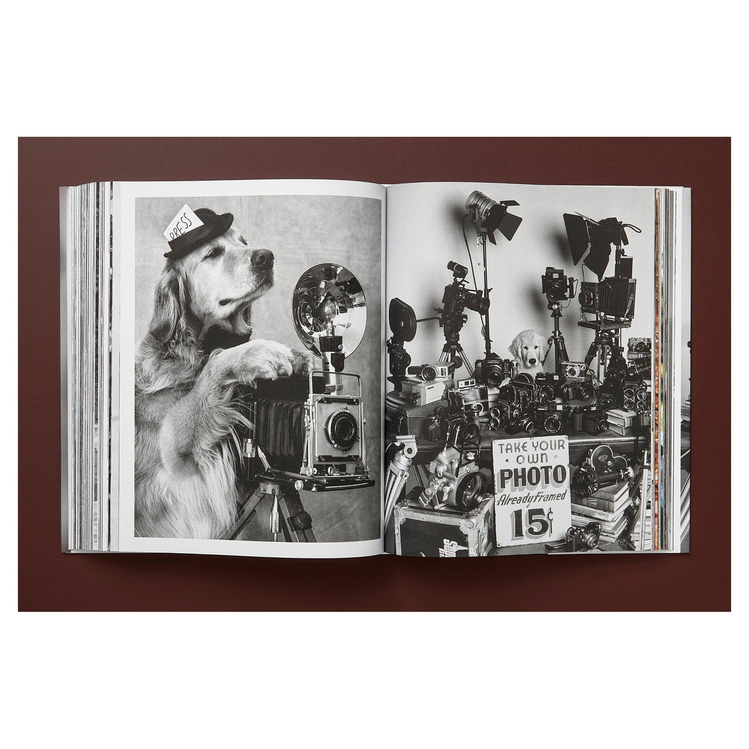 Nahaufnahme des hochwertigen Prints – signiert von Bruce Weber