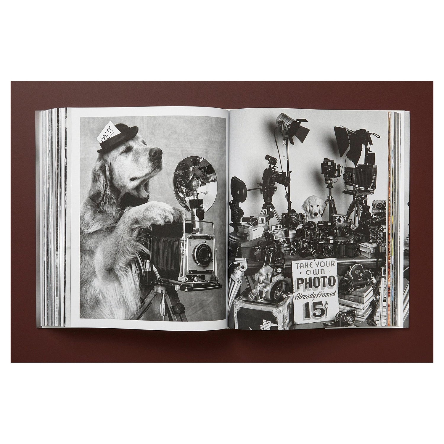 Nahaufnahme des hochwertigen Prints – signiert von Bruce Weber