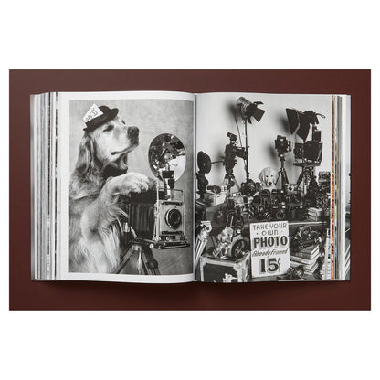 Nahaufnahme des hochwertigen Prints – signiert von Bruce Weber