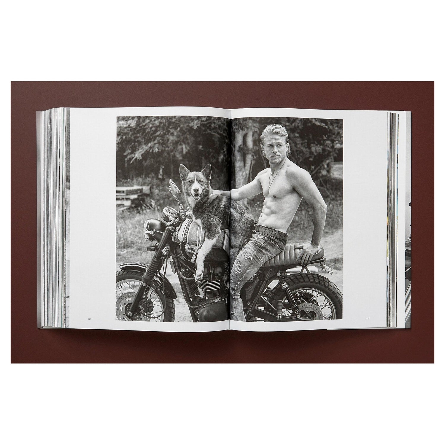 Bruce Weber Art Edition Cover – Golden Retriever auf Little Bear Ranch