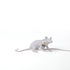 Tischlampe MOUSE LOP weiß von Seletti – ikonisches Design mit spielerischem Charme