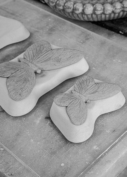 Künstlerische Nahaufnahme des Schmetterlingsflügels in matter Textur