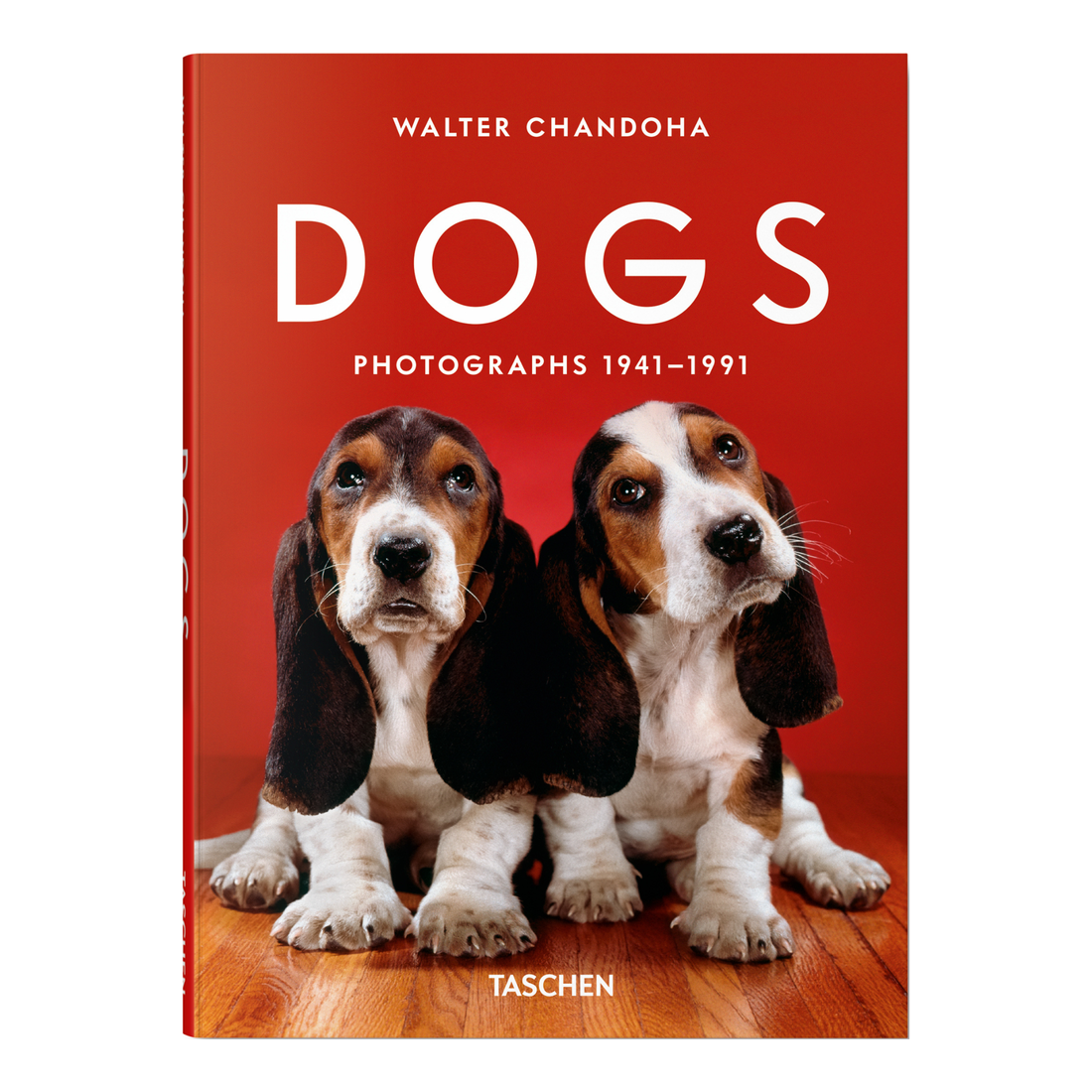 Klassisches Studiohundefoto von Walter Chandoha mit klarer Lichtführung und ruhigem Porträtstil.