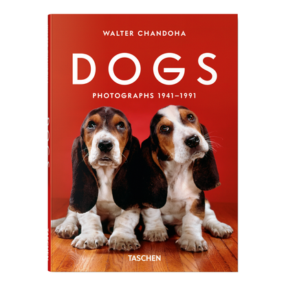 Klassisches Studiohundefoto von Walter Chandoha mit klarer Lichtführung und ruhigem Porträtstil.